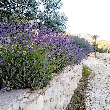 Hébergement de vacances Stone House Angelo - Peace Oasis With Pool