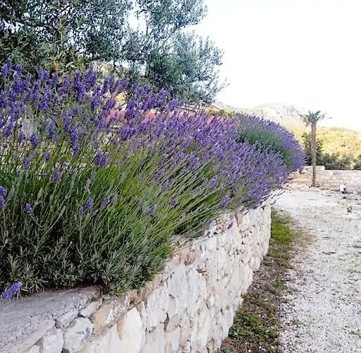 Сasa de vacaciones Stone House Angelo - Peace Oasis With Pool